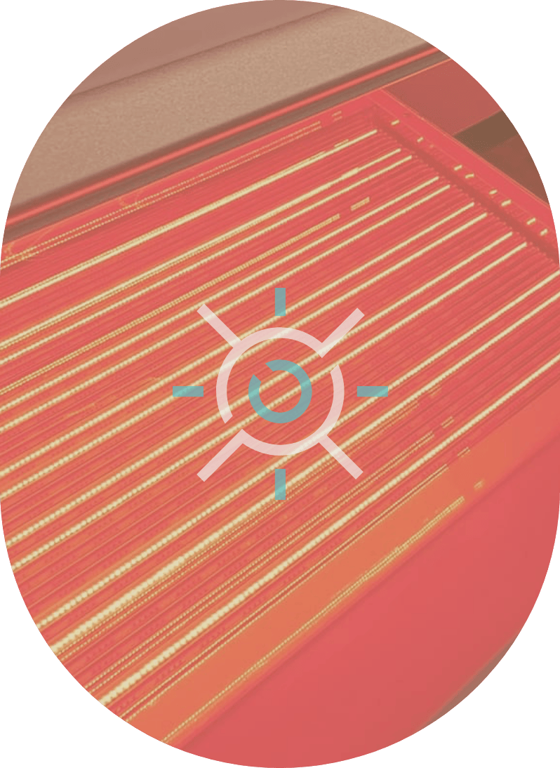 Red Light Therapy With Theralight 360+